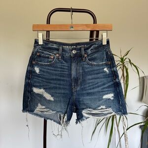 American Eagle 90’s Boyfriend Short